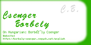 csenger borbely business card